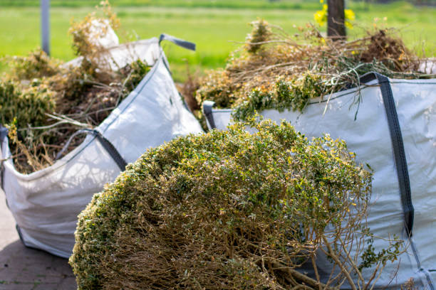 Best Hoarding Cleanup  in Redan, GA